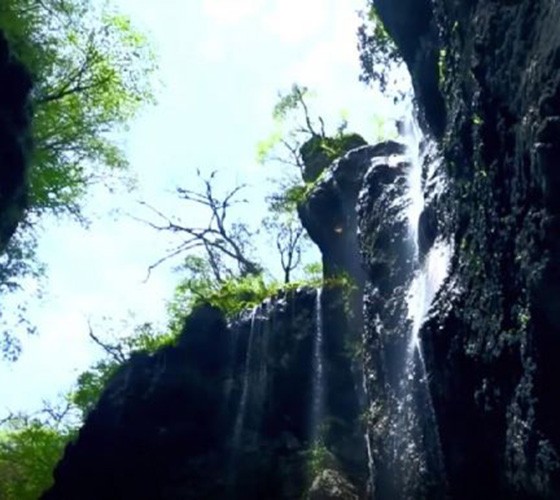 青山綠水，白龍江畔江畔息白鷺，兩岸綠橄欖入眼的都是純樸自然枝上花開(kāi)，春來(lái)水暖魚(yú)蝦戲水，鳥(niǎo)語(yǔ)花香心中充滿(mǎn)著舒暢之感祥宇生態(tài)產(chǎn)業(yè)園，位于隴南市武..